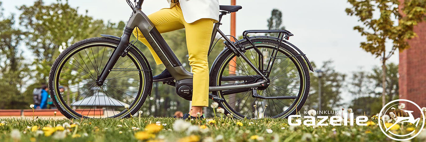 stijl Aardbei uitzetten Gazelle Elektrische fietsen kopen? Fiets-Exclusief.nl