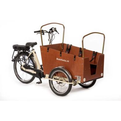 Bakfiets.nl E-CargoTrike Daycare SS5