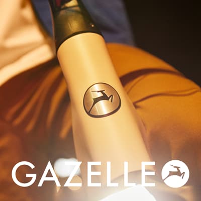 Gazelle Grenoble C5 logo